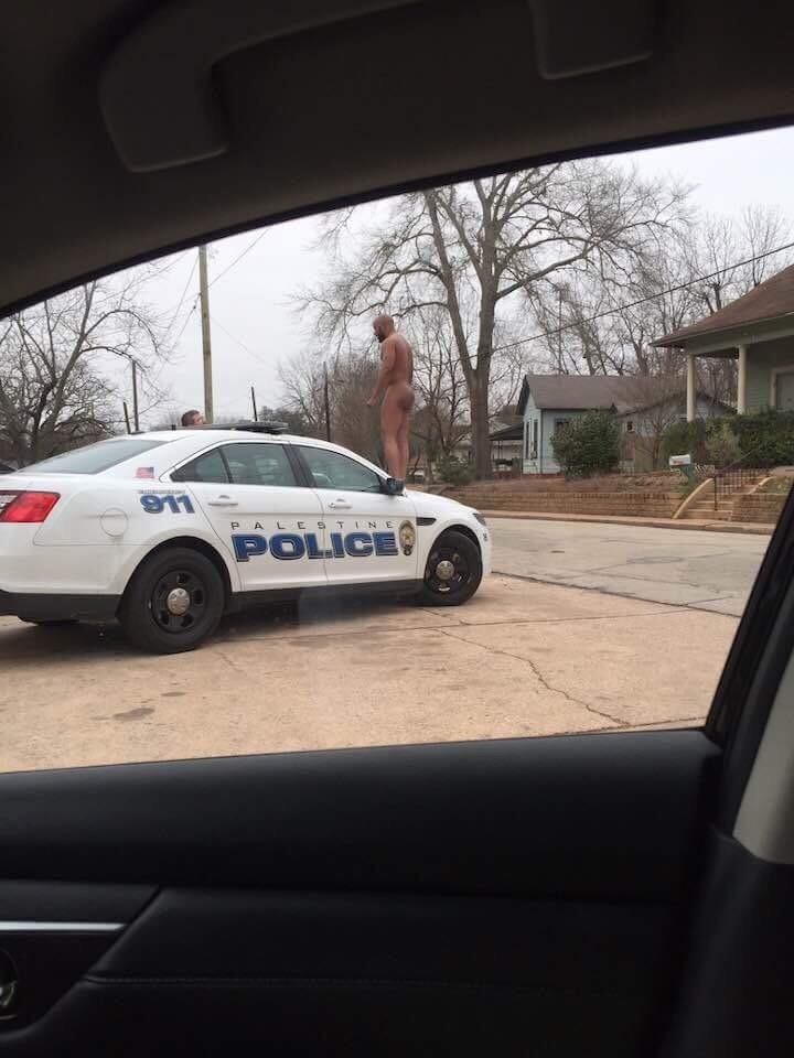 Who climbs to the cops on the car ... - NSFW, USA, Cops, Militia, Police, Naked guy