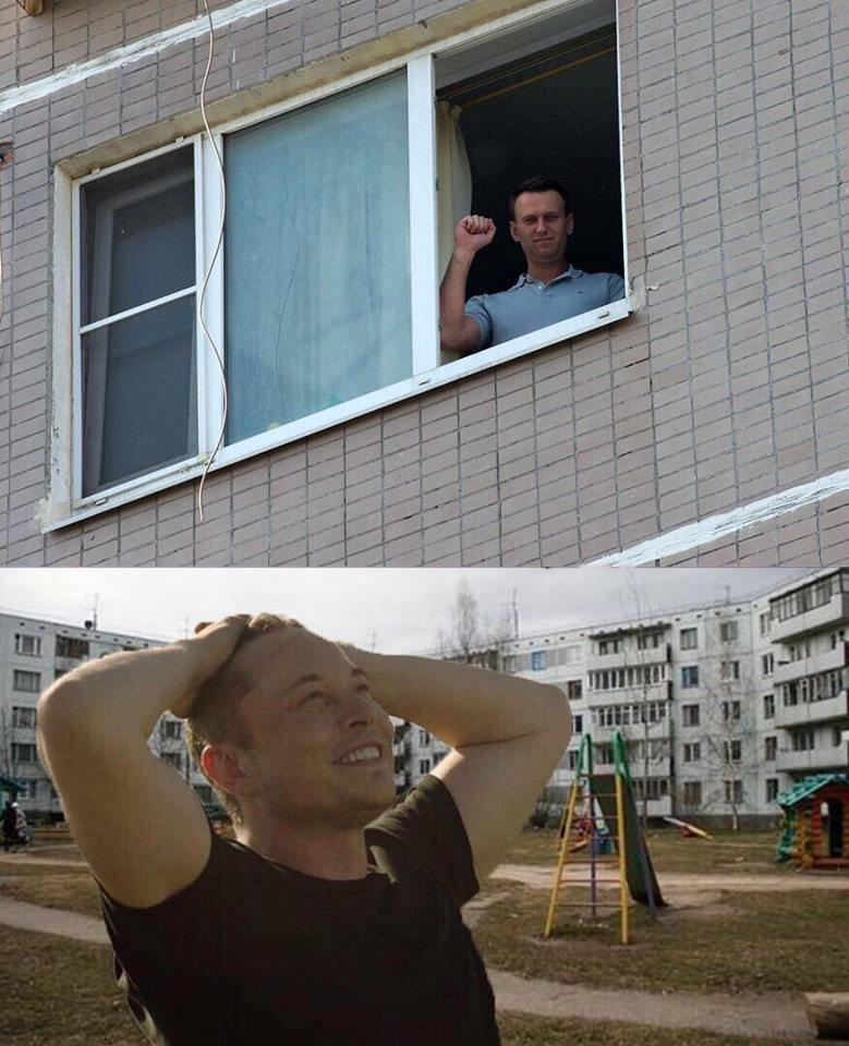 Sorry. I think it's funny :) - Elon Musk, Alexey Navalny, Funny