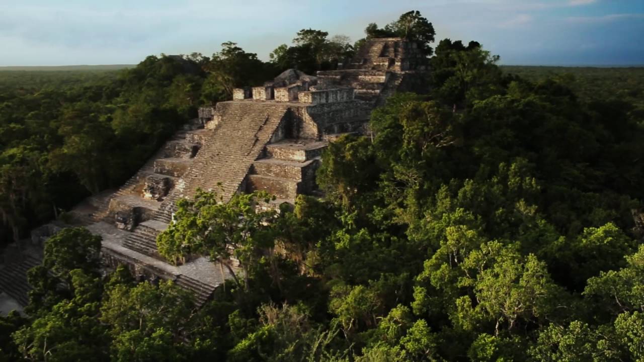 The realm of nature in Mayan cities - Temple, Mayan, Aztecs, Nature, wildlife, Mexico, Antiquity, Longpost