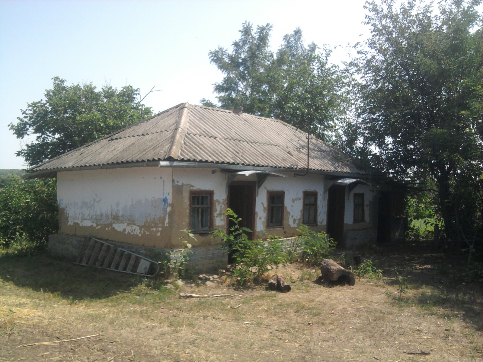 In memory forever - My, Sadness, Childhood memories, Village, Mum, Childhood, Longpost