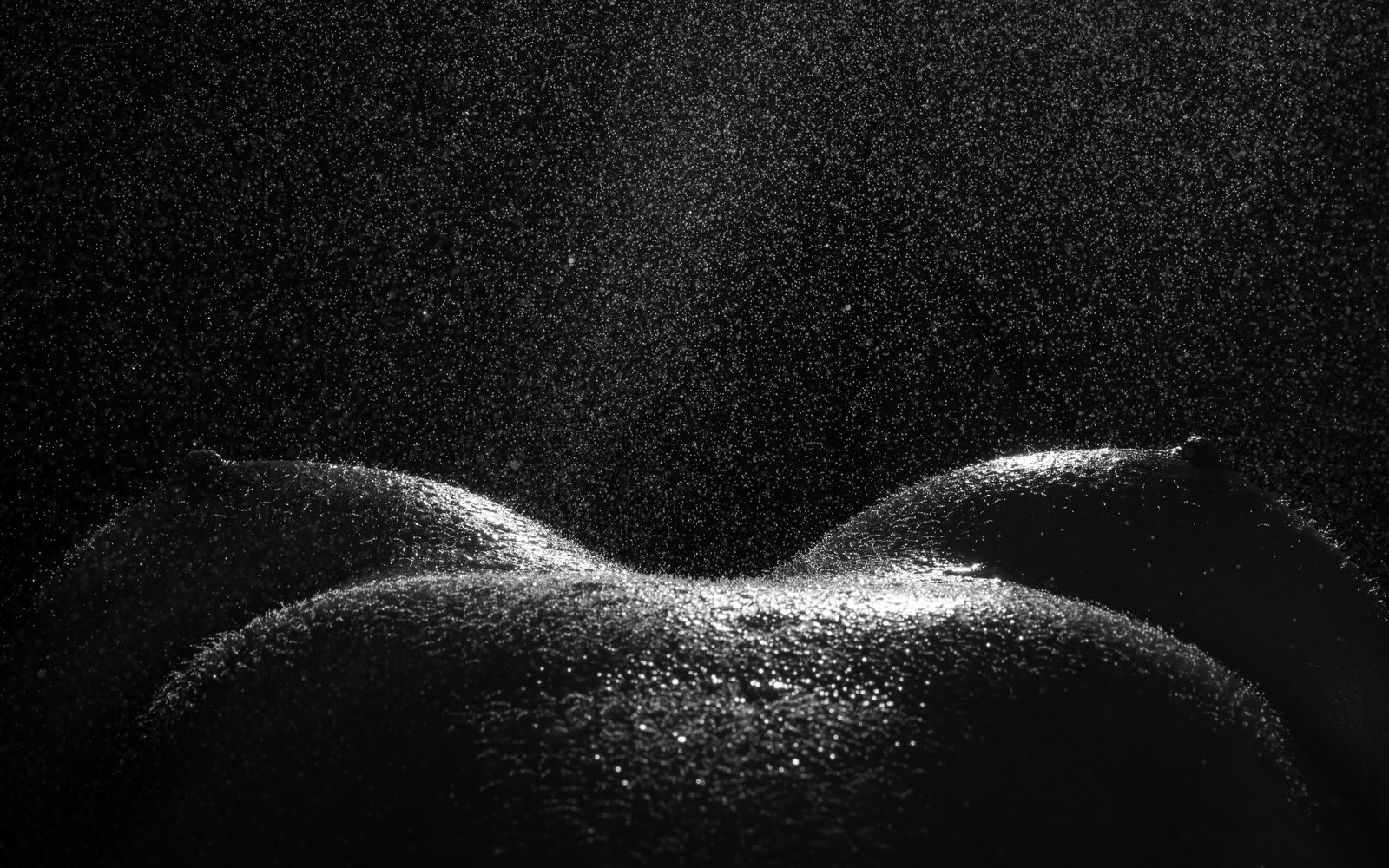 Bodyscape or fleshscape (beginning) - NSFW, My, Bodyscapes, Longpost, Breast, Black and white, Homemade, The photo, Photo project