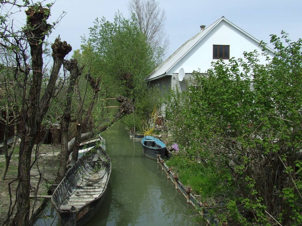 Little Venice - , Longpost, Story