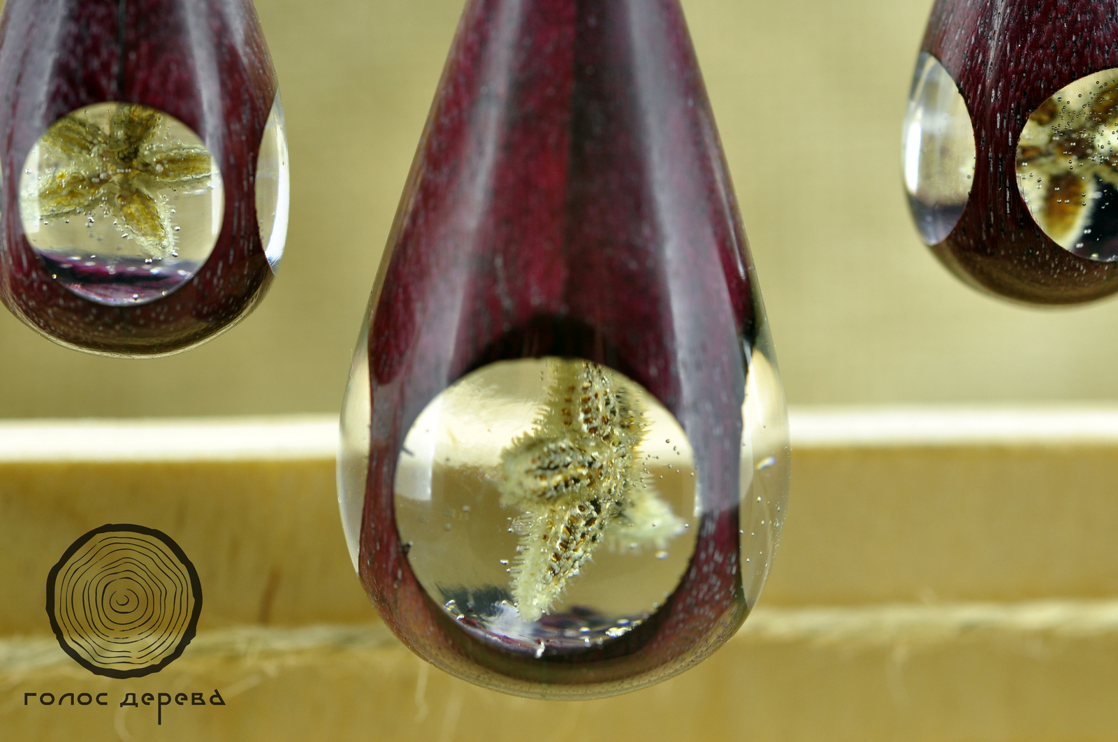 Sea stars and amaranth - My, Handmade, Tree, Longpost, Starfish, , With your own hands, Handmade, Amaranth