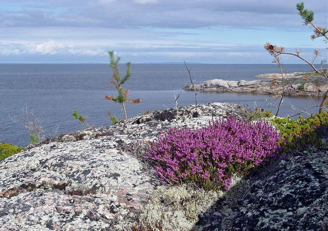 Kola Peninsula - Interesting, Peace, Travels, Longpost, Nature, beauty, Kola Peninsula