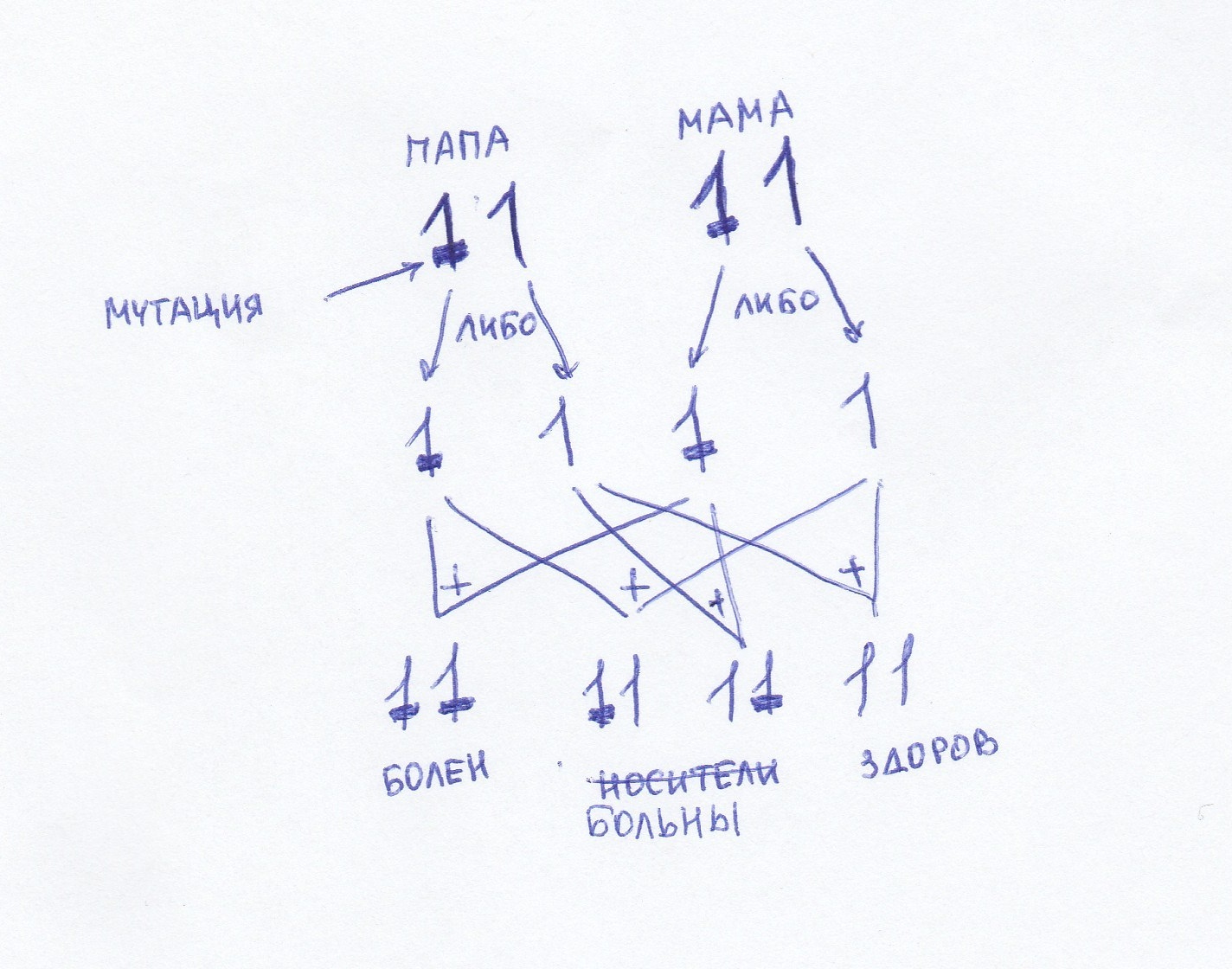 A little about our genetics and diseases. - My, Genetics, , Education, The science, Genome, Longpost, Genetic diseases