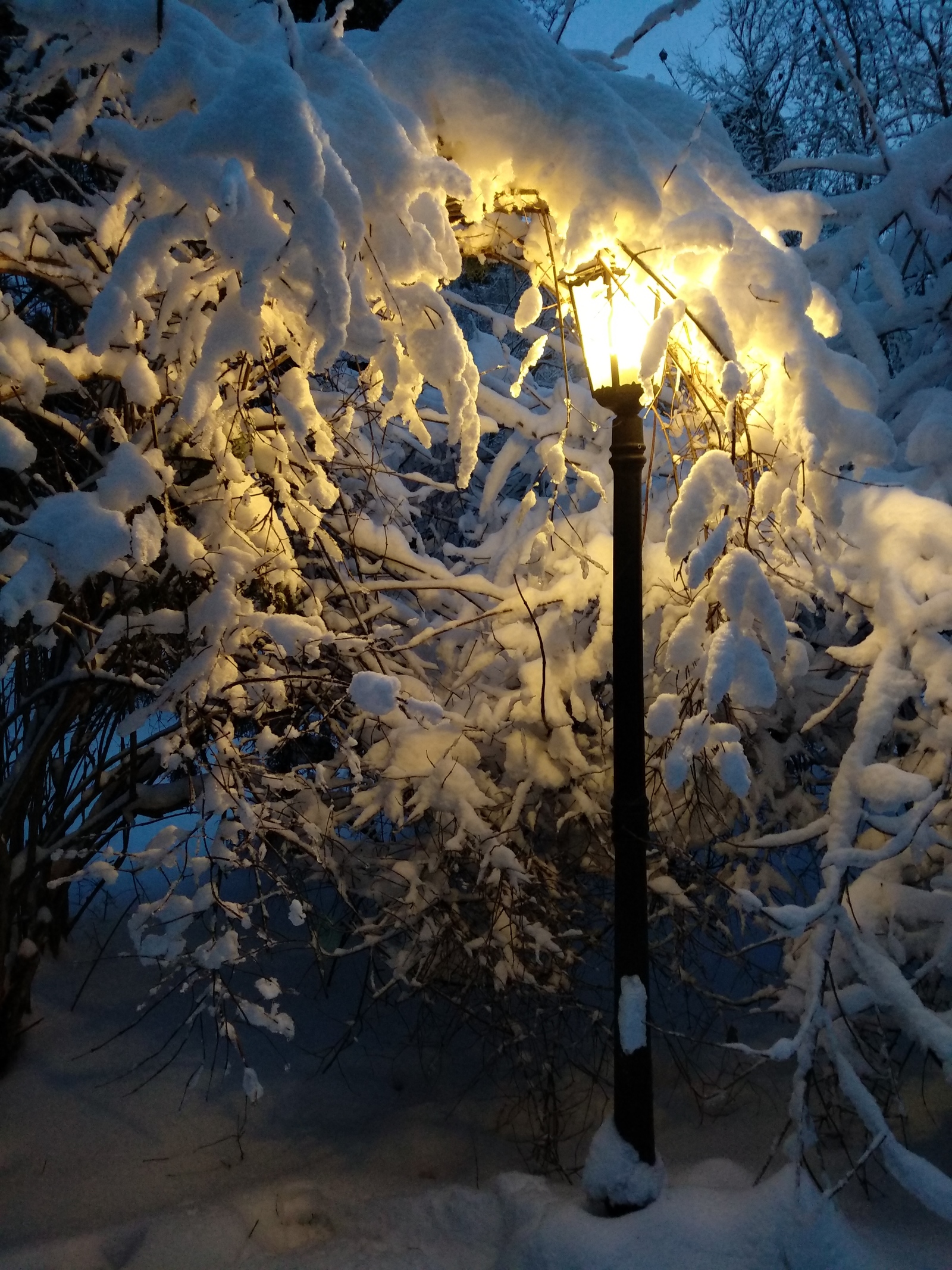 Lamp - Lamp, Winter, Snow, beauty, The photo