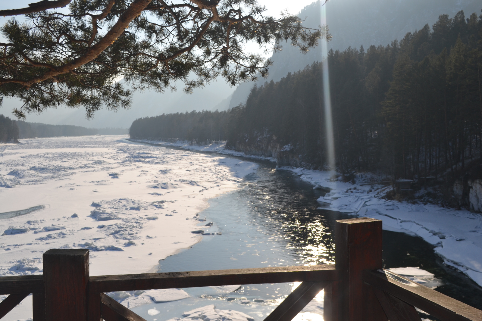 Altai - Novosibirsk, Mountain Altai, Oncology, Longpost, Altai Republic