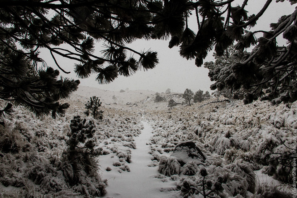 Mexico. snowy tropics - My, Mexico, Travels, The mountains, Climbing, Longpost