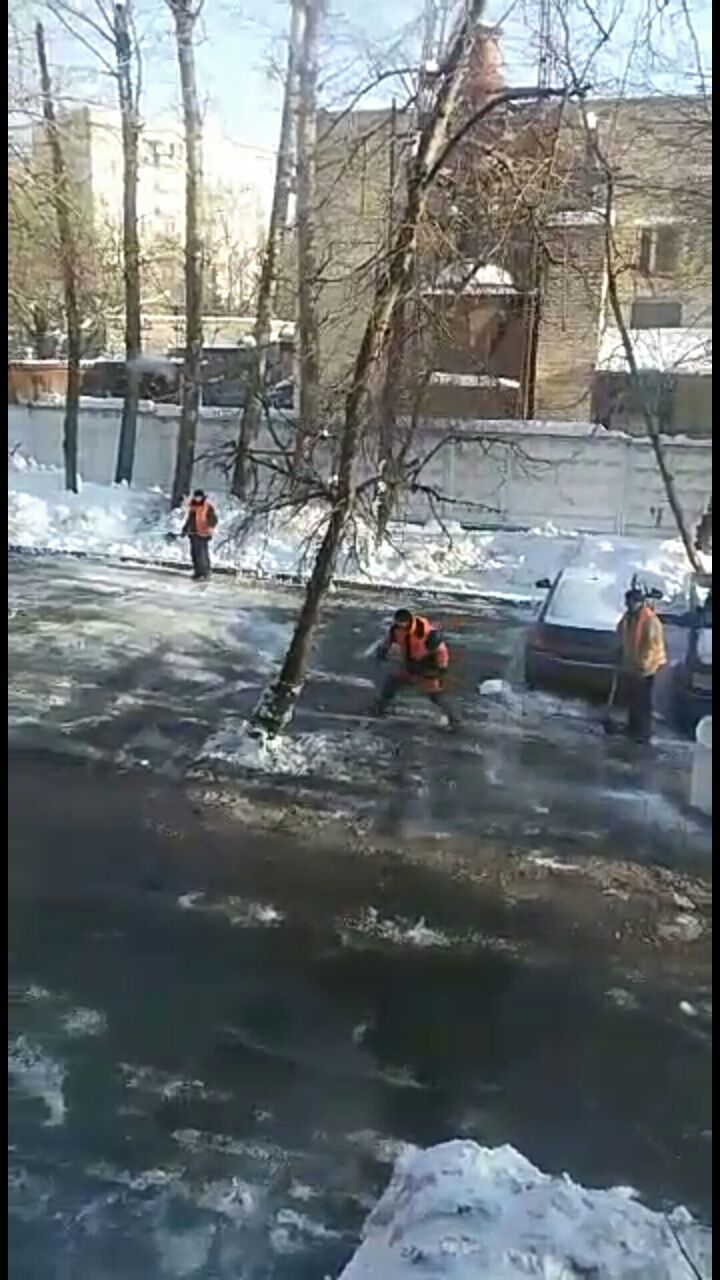 Preparing for the elections - My, Snow removal, Moscow, Courtyard, Tree, Salt, Ice, , Street cleaner, Longpost