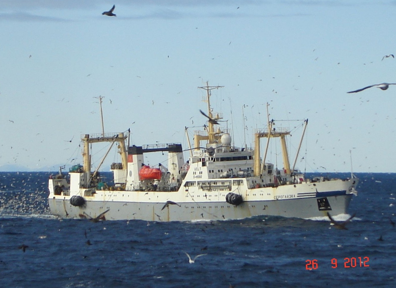 Life of a sailor-fisherman - My, Sea, Longpost, Fishing, Fishing vessel