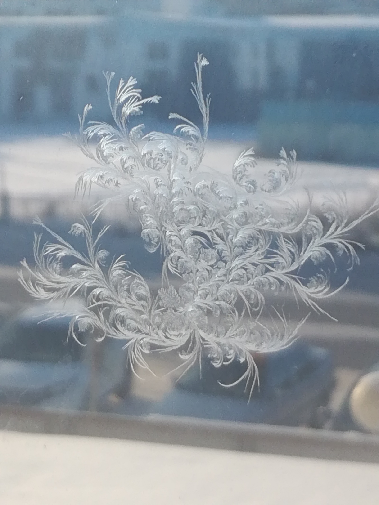 Snowflake.... - My, Snowflake, freezing, The sun, beauty