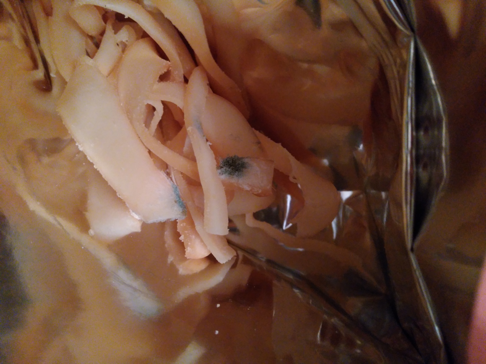 Moldy squids: a new snack or a manufacturer's joint? - My, Squid, , Mold, Permian, Longpost