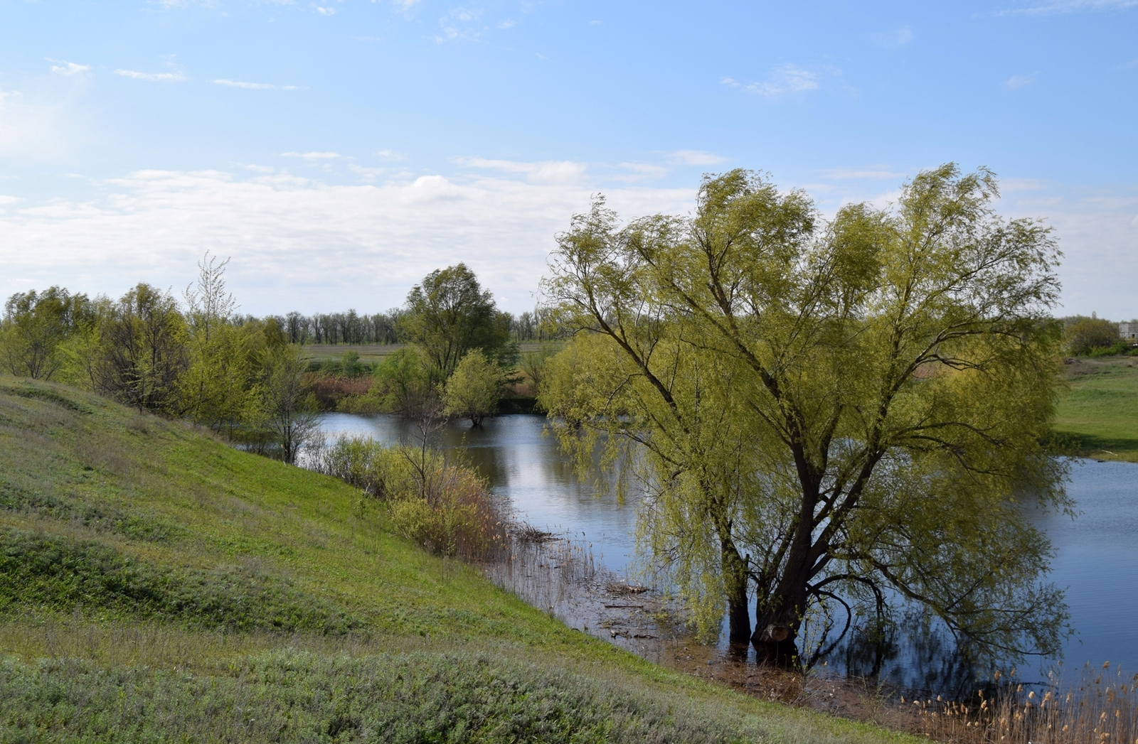 Немного весны в ленту - Моё, Nikon d3300, Пейзаж, Весна, Длиннопост, Природа, Фотография