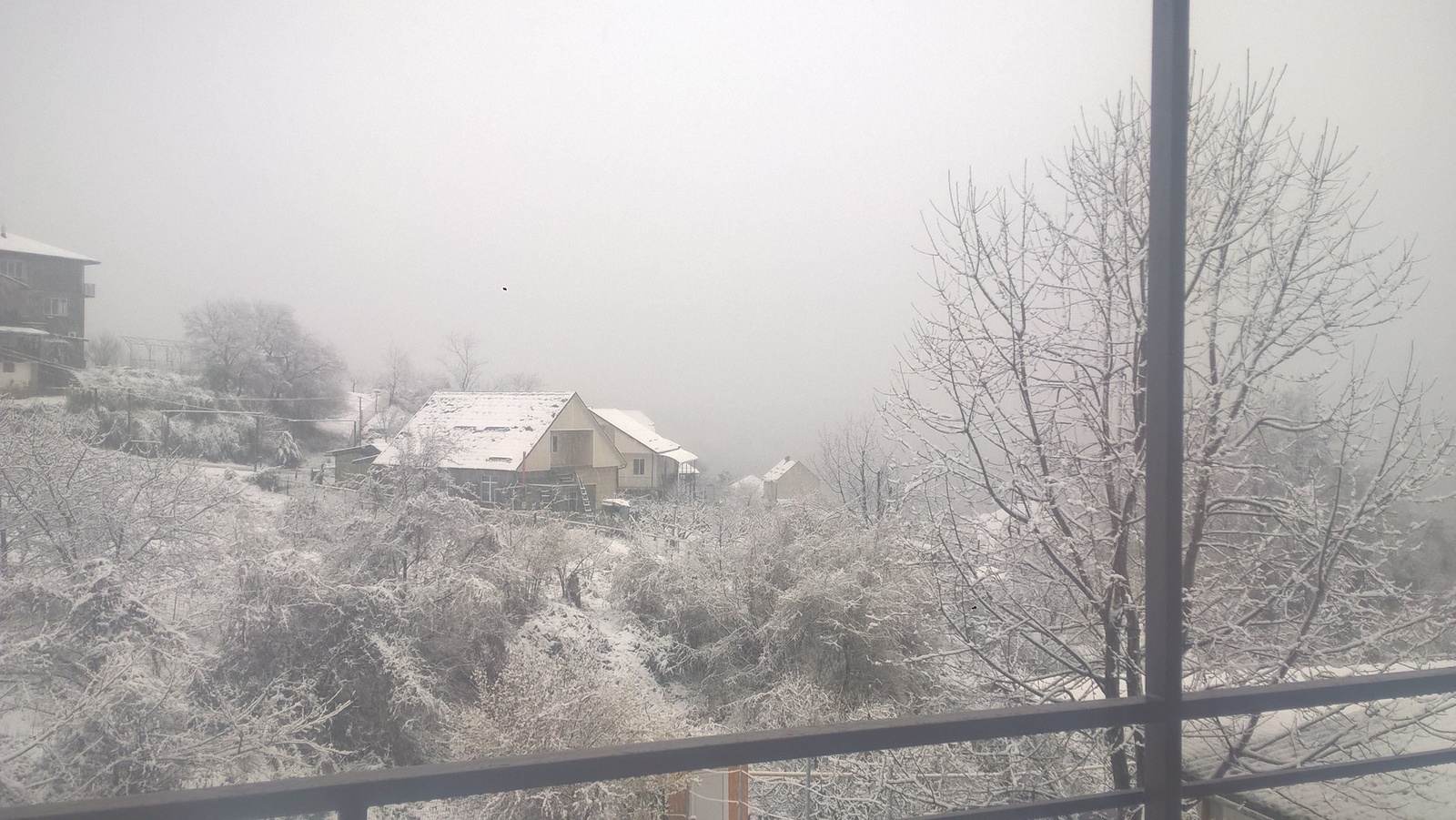 Spring in Sochi - My, Snow, Sochi