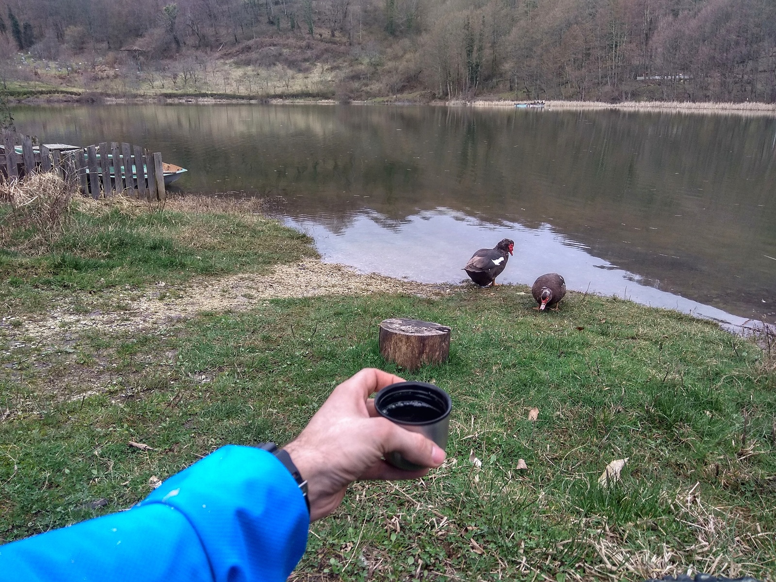 Winter. Sochi. Cycling in the cave and tea plantations. - My, A bike, The mountains, Action, Video, Longpost