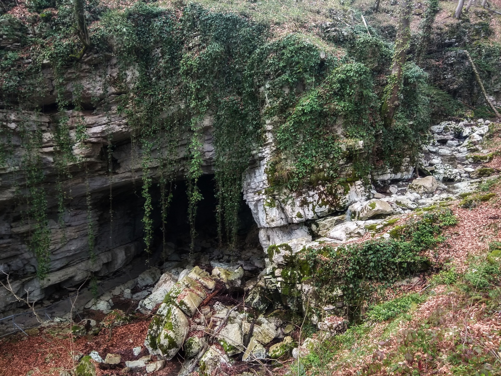 Winter. Sochi. Cycling in the cave and tea plantations. - My, A bike, The mountains, Action, Video, Longpost