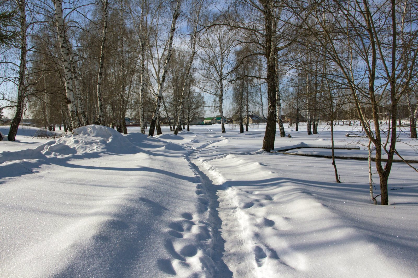 Немного зимы - Моё, Зима, Снег, Зимняя сказка, Длиннопост, Фотография, Природа