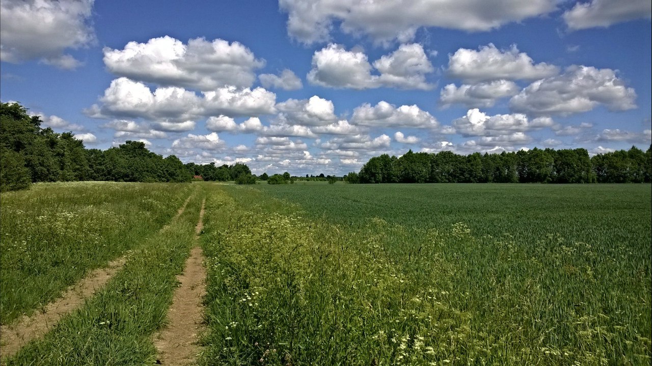 Clouds in the sky - My, The photo, Road, Summer, Village, Nokia Lumia