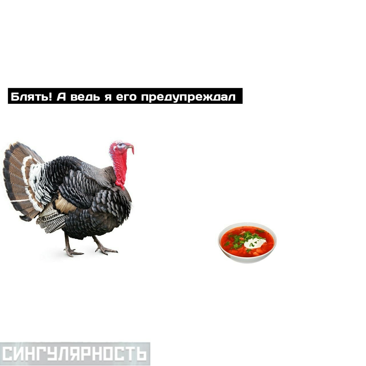 The turkey thought he got into the soup - My, In contact with, Humor, Longpost, Turkey, Self-development, Singularity comics