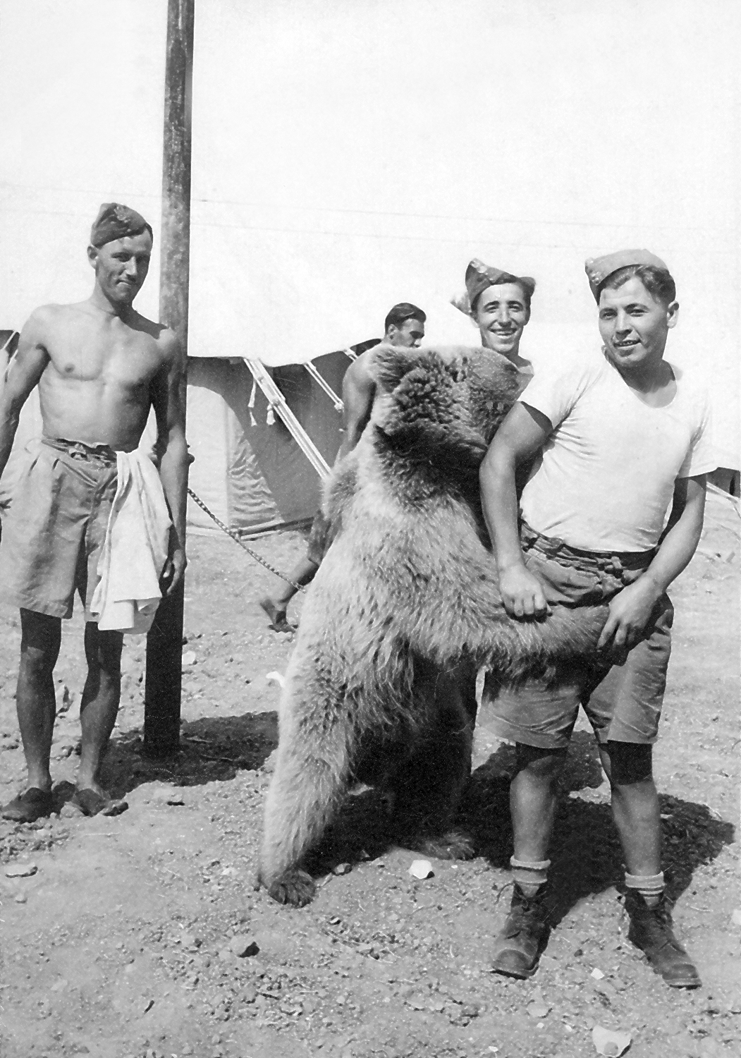 Corporal Wojciech - The Second World War, , Bear, Corporal, Longpost, The Bears