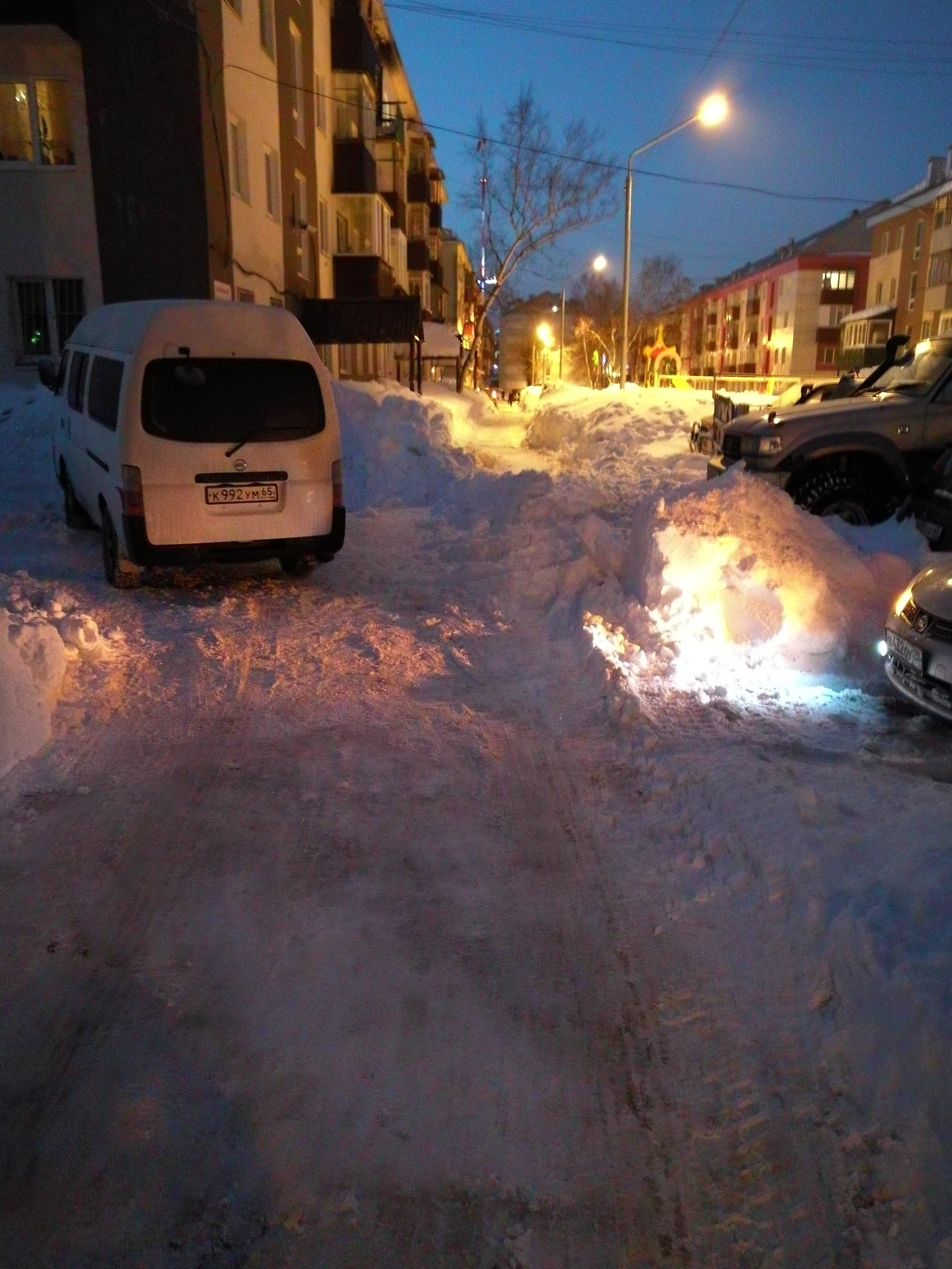 Not our territory - My, Sakhalin, Snow, Longpost