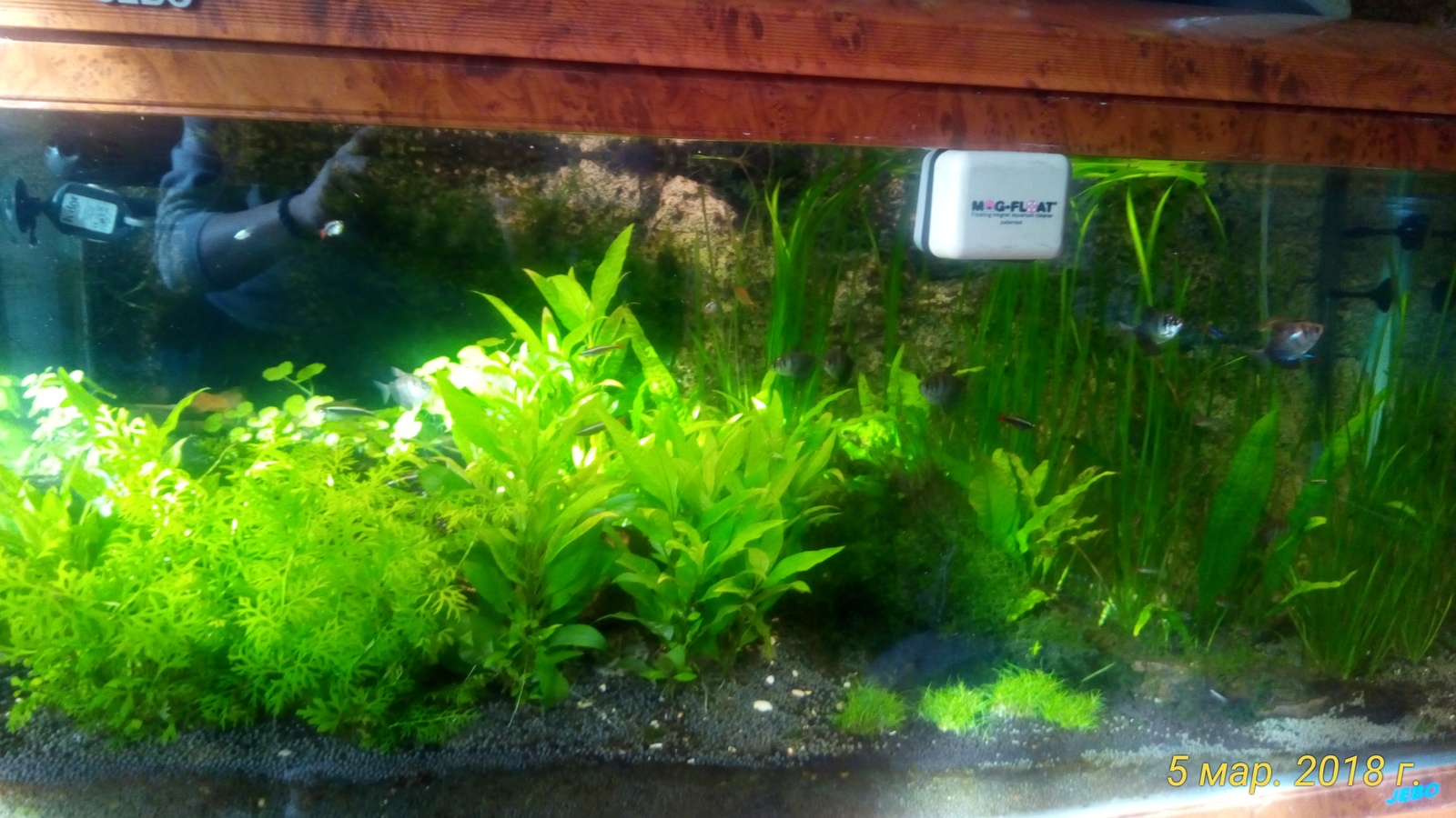 450 liters - My, Aquarium, , Video, Longpost