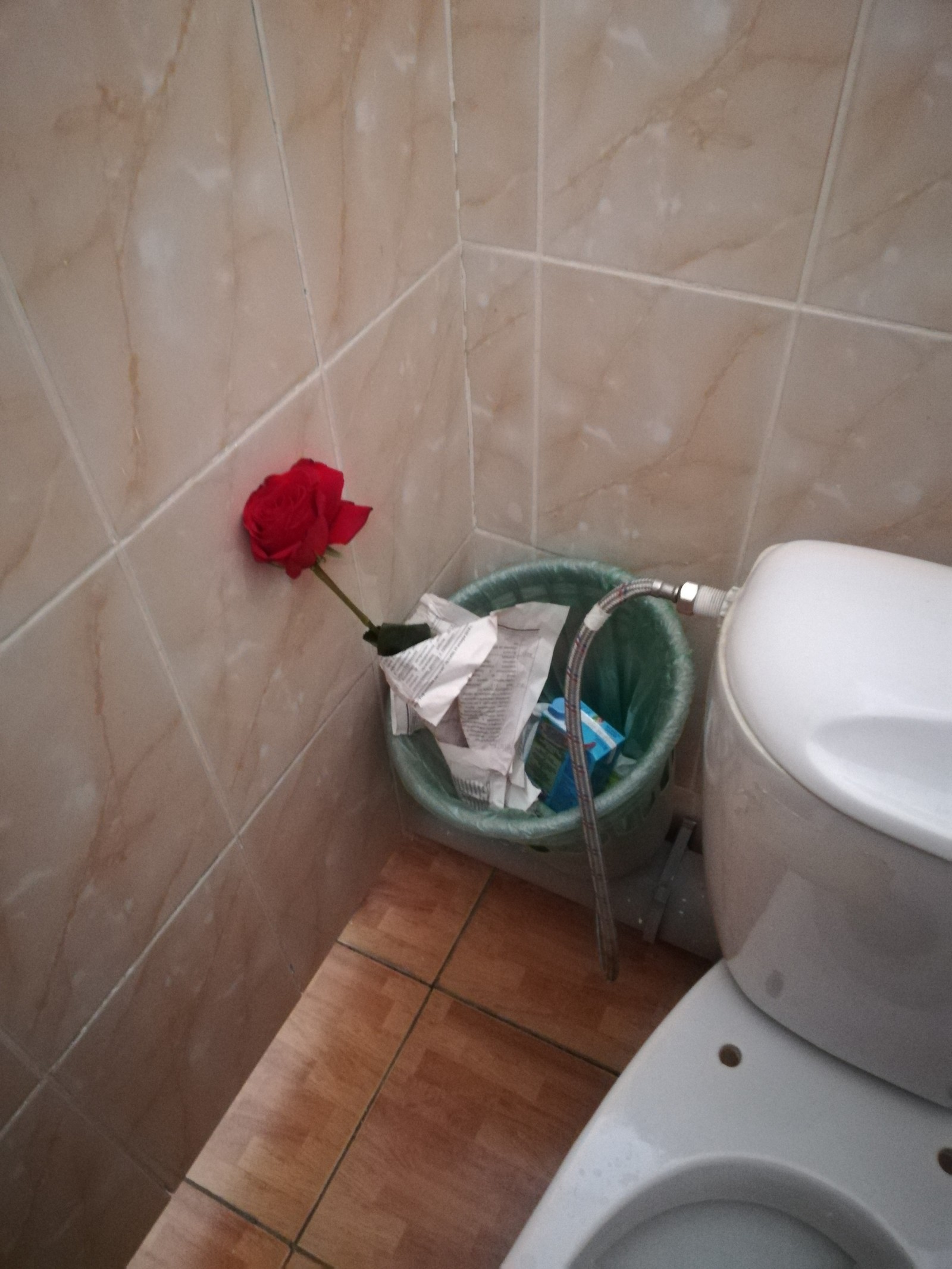 ungrateful woman - My, March 8, Flowers, Toilet