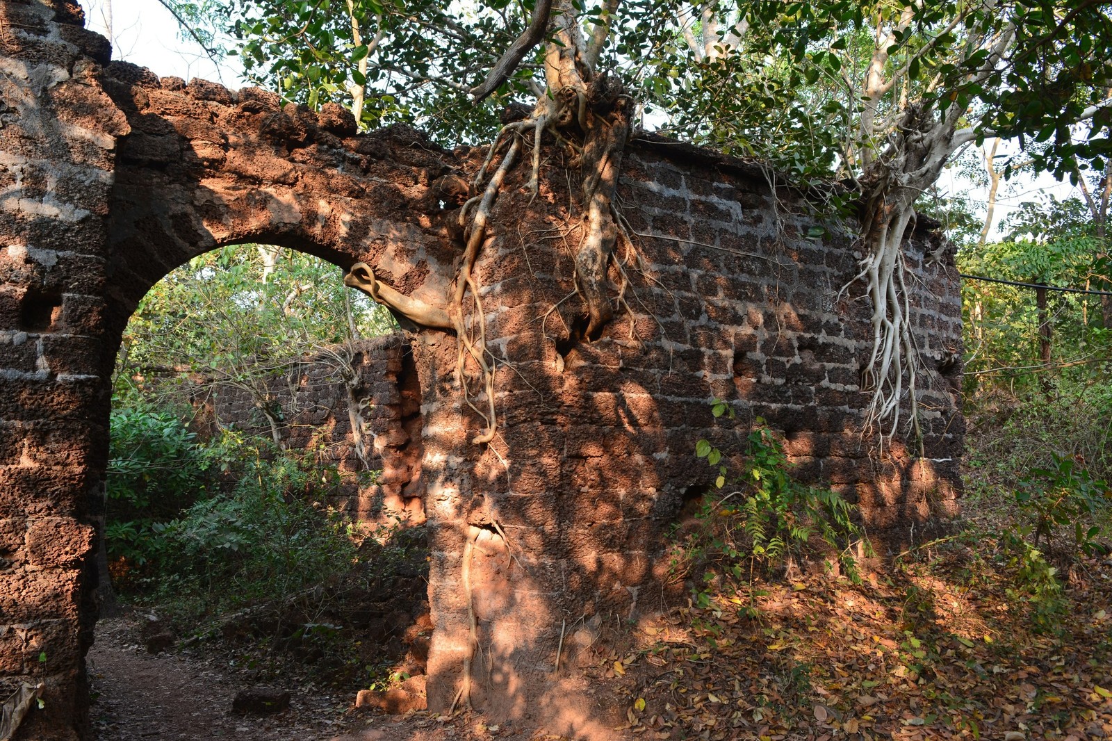 Jungle fort in north Goa - My, Travels, The photo, India, Goa, Abandoned, Fort, Longpost