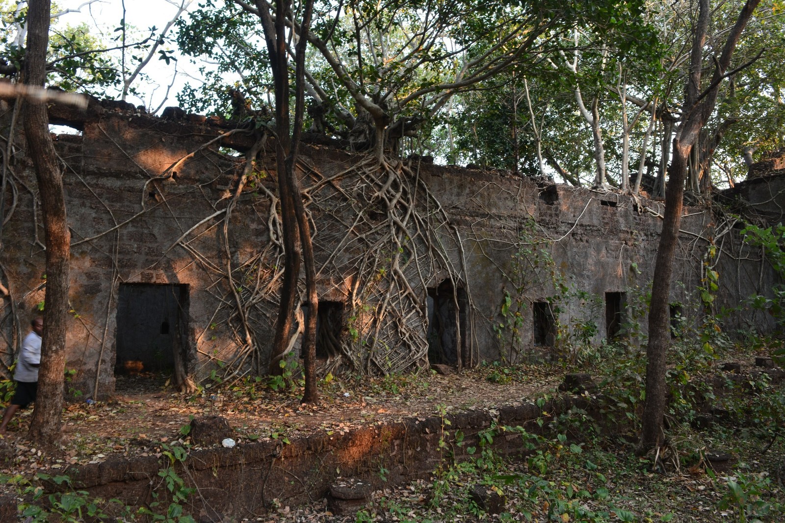 Jungle fort in north Goa - My, Travels, The photo, India, Goa, Abandoned, Fort, Longpost