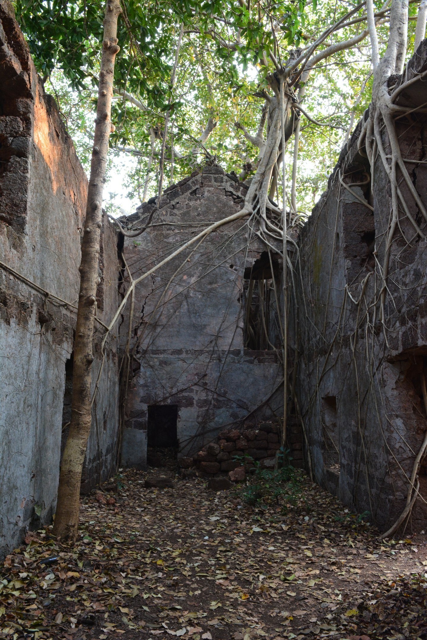 Jungle fort in north Goa - My, Travels, The photo, India, Goa, Abandoned, Fort, Longpost