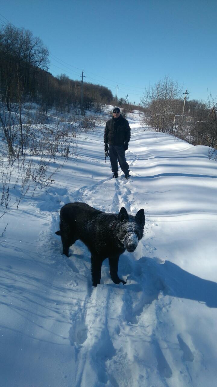 Вот такая вот у нас,ребята,весна в Среднем Поволжье) - Моё, Весна, Снег, Поволжье