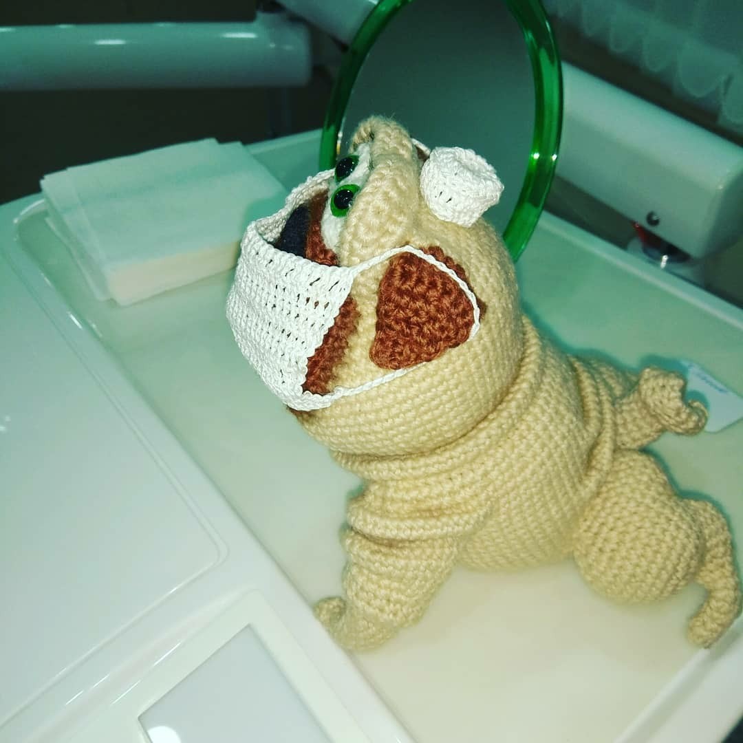 pug dentist - My, Crochet, Pug, Dentist, Amigurumi, Presents