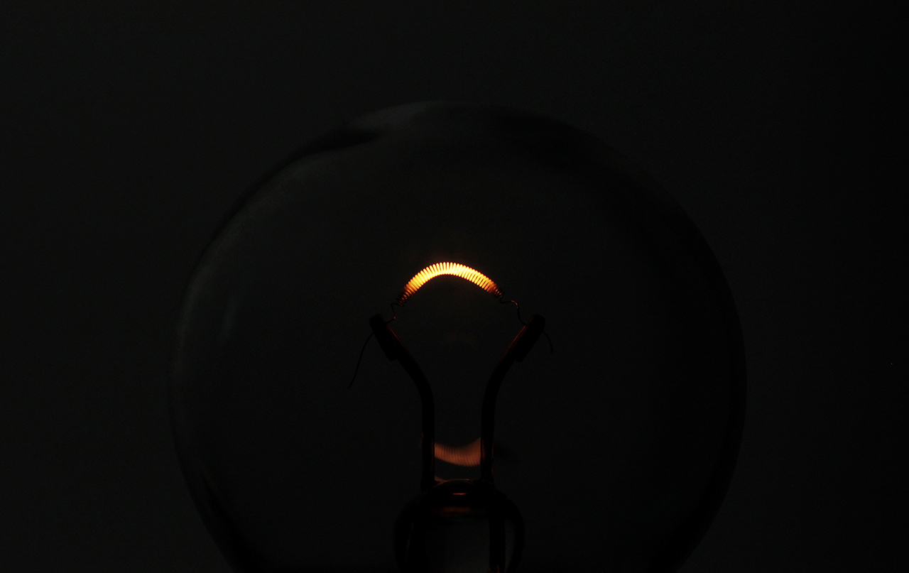 Glow - My, Macro photography, Canon, Bulb