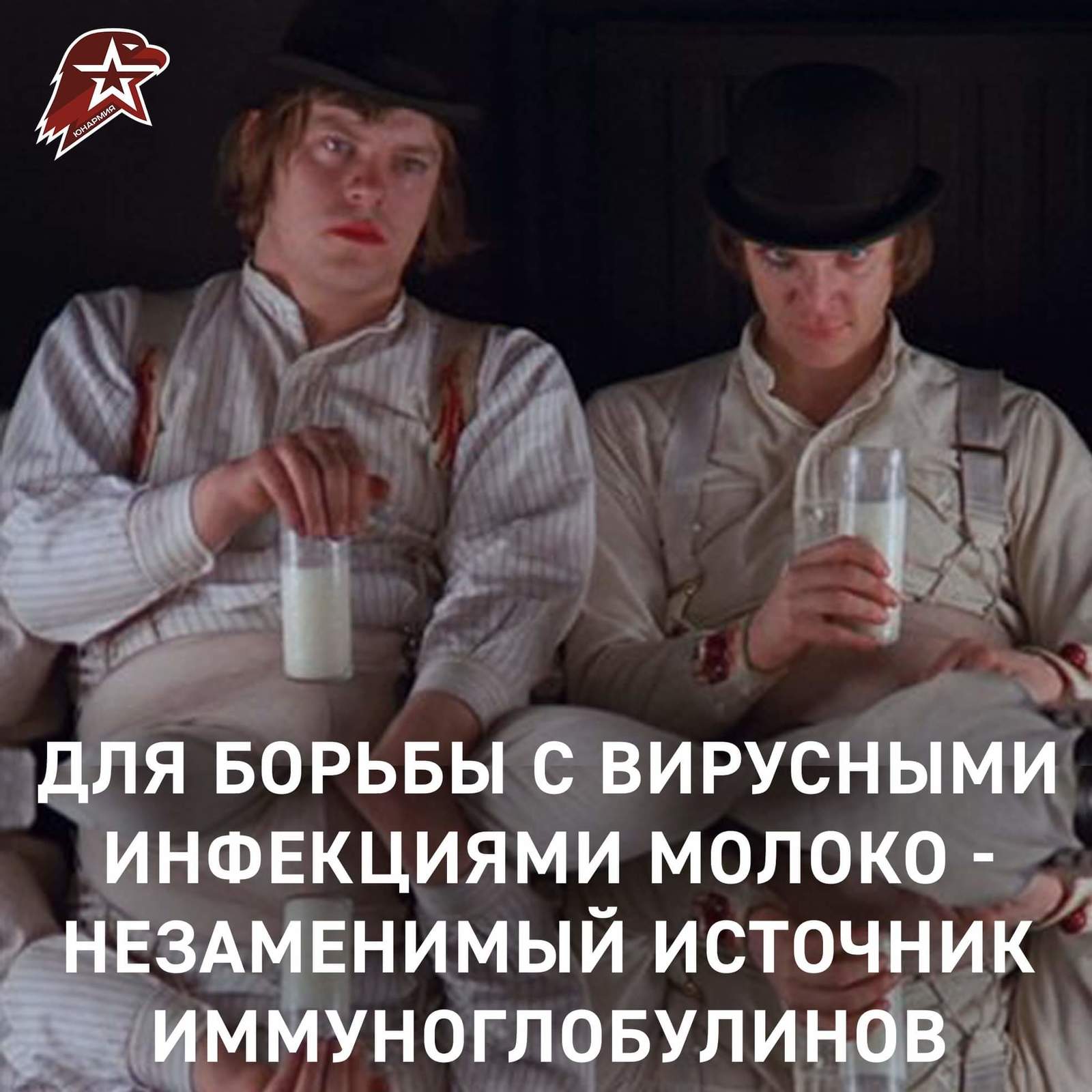 Fat troll-SMMschik in the ranks of the Yunarmiya - Stanley Kubrick, Yunarmiya, Milk, Troll, Longpost