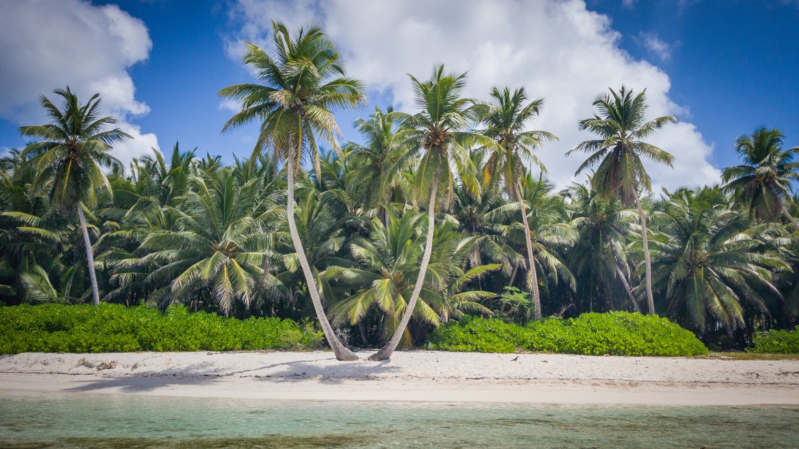 A few Caribbean islands in a ribbon - My, Caribs, Travels, Tourism, Work, Dominican Republic, , Sea, Ocean, Longpost