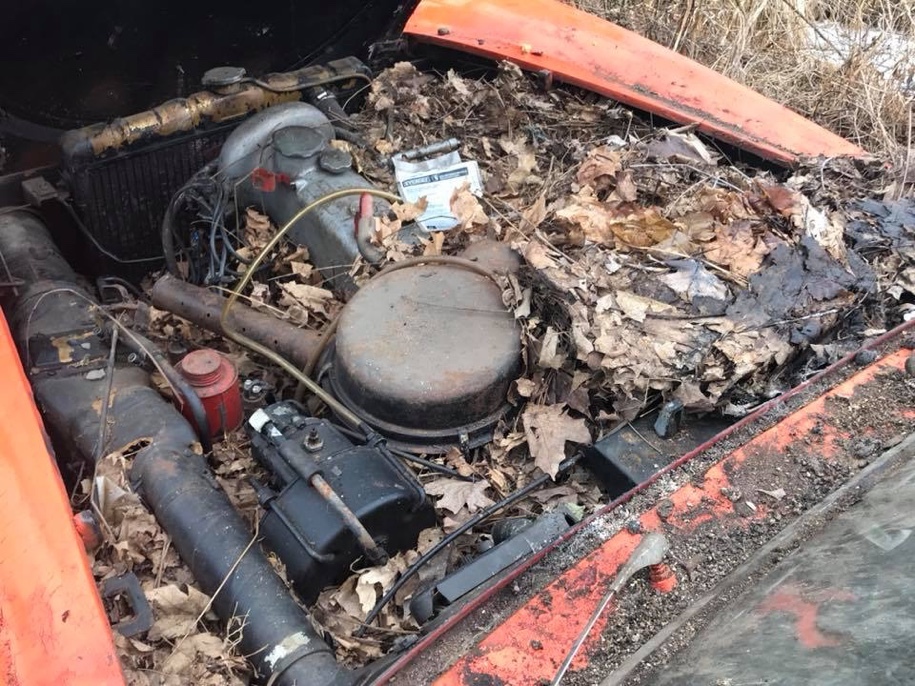 Classic Mercedes-Benz forgotten for 40 years found in an old garage - Mercedes, , Roadster, Longpost, Auto, Rarity