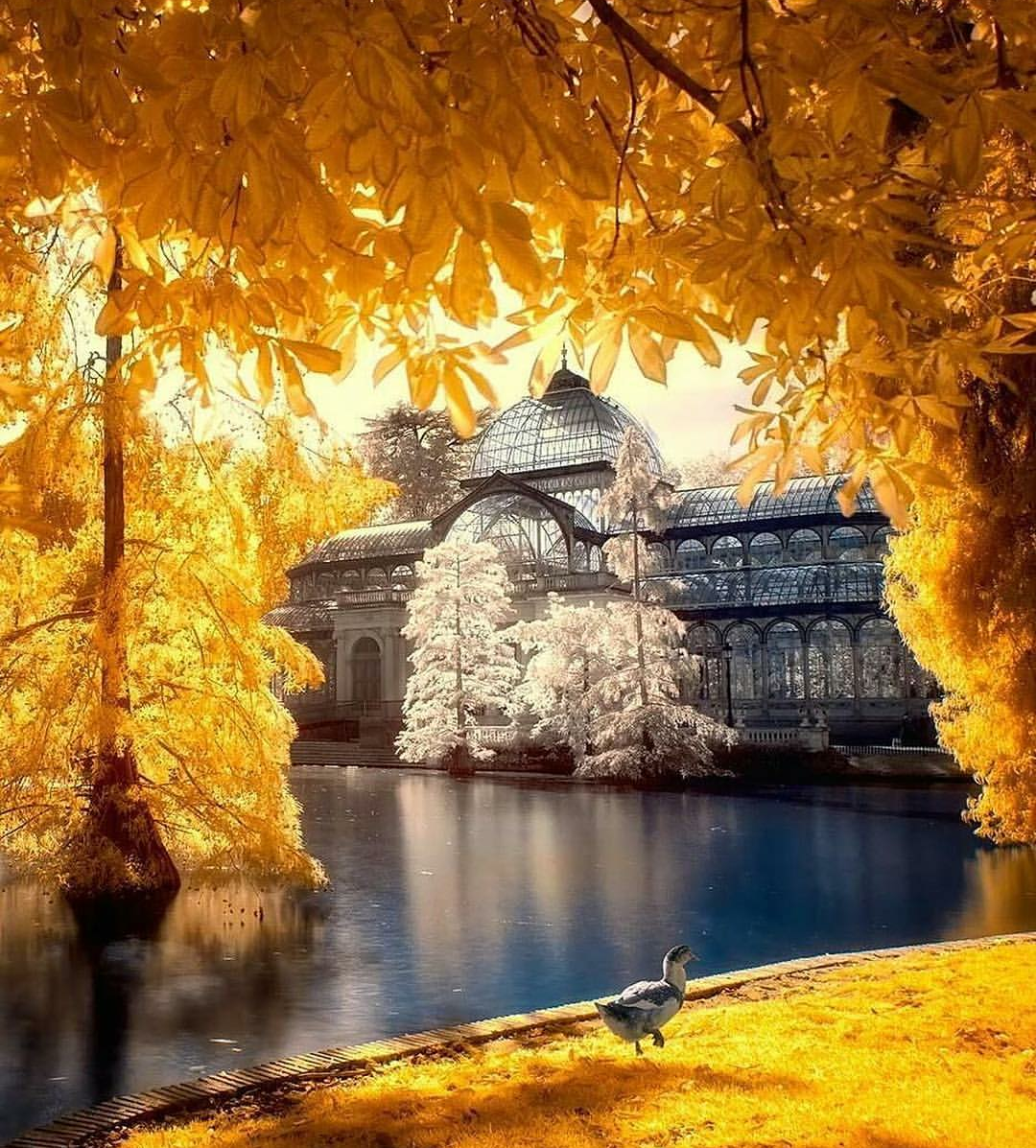 Retiro, Madrid - beauty, Madrid, Spain, , Landscape, Autumn, The park, The photo