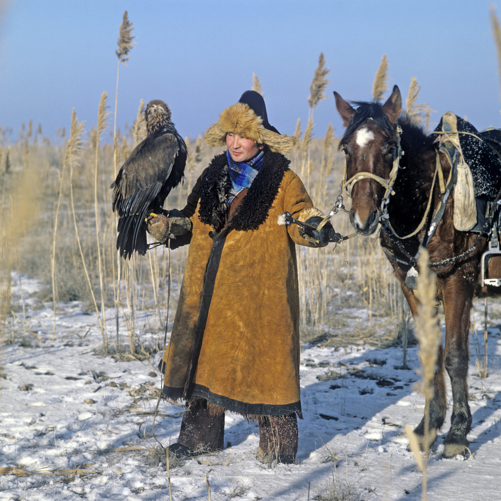 Необычный праздник отмечают на западе Казахстана - Казахстан, Наурыз, Корису, Праздники, Длиннопост