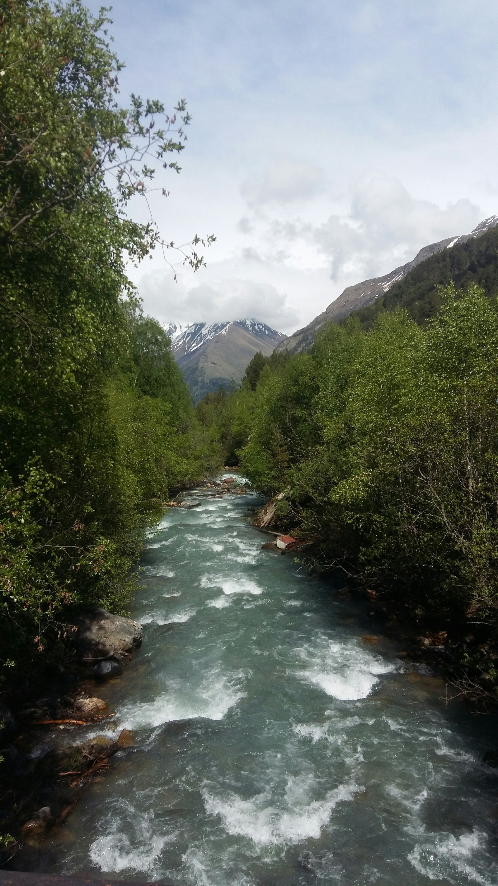 Elbrus region in summer - Elbrus, Summer