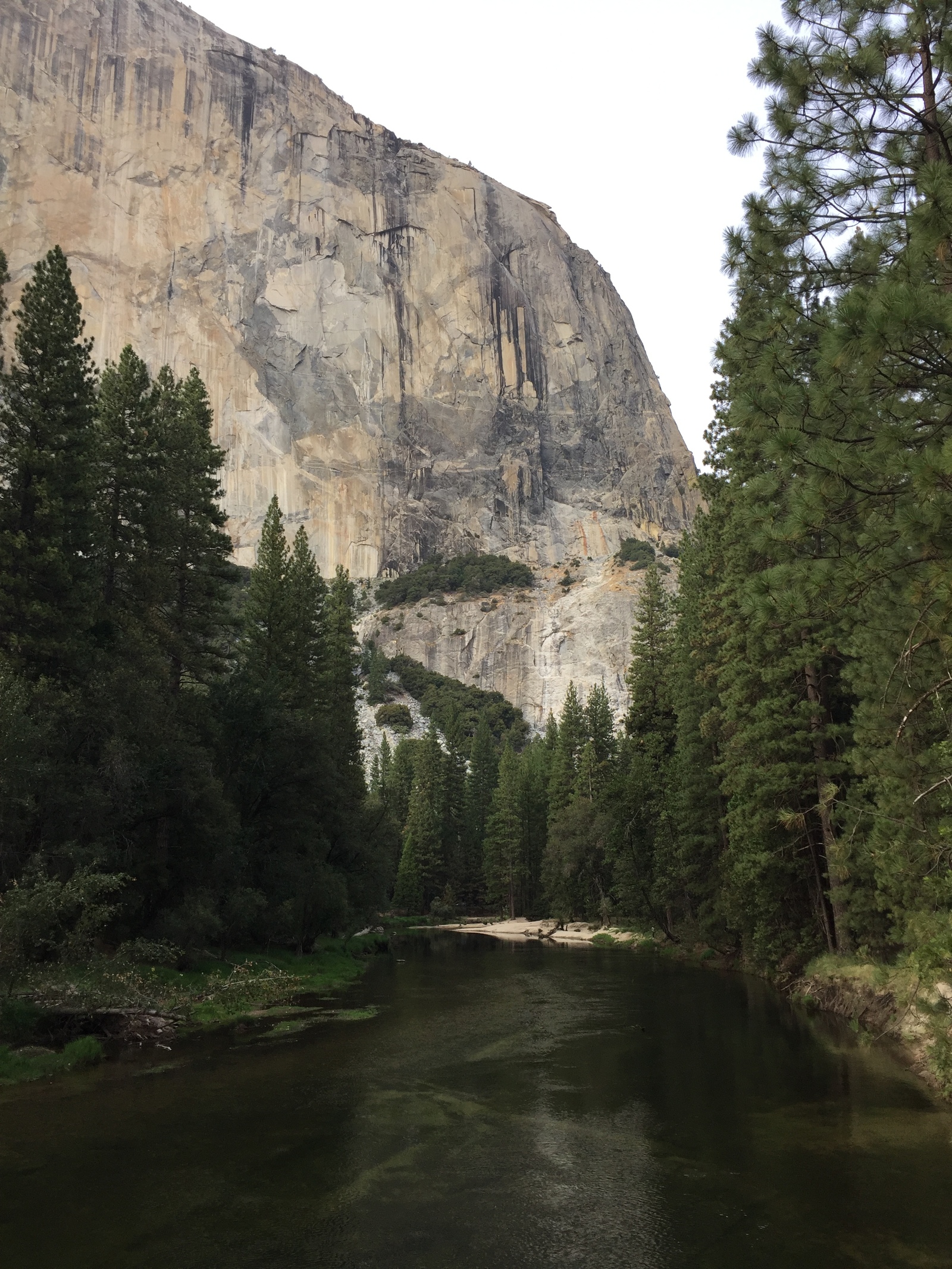 Yosemite National Park - My, USA, Travels, The photo, Yosemite, Iphone 7 plus, Longpost