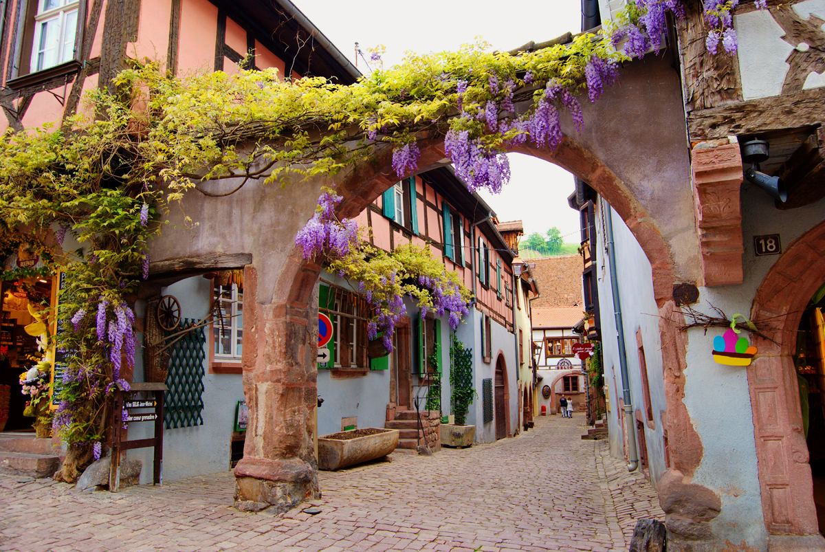 Riquewihr: village-cake :) - , Commune, Half-timbered, Riesling, Alsace, Longpost, France