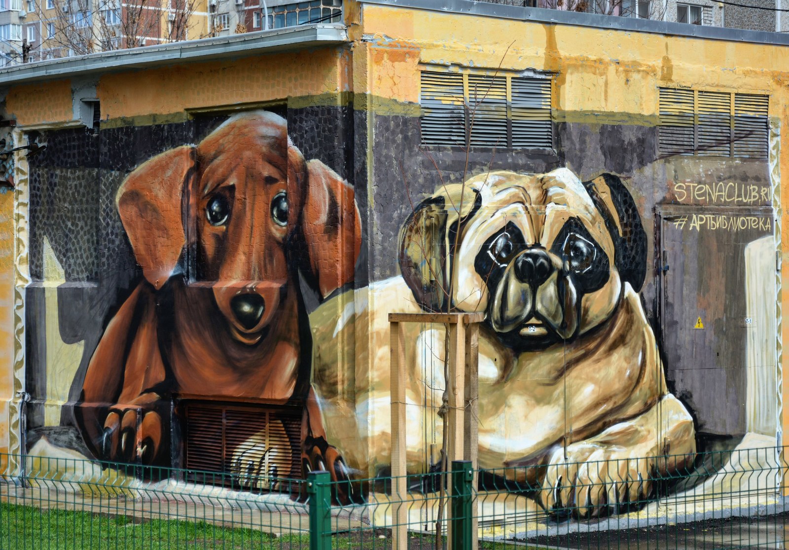 Made a couple of drawings with a friend in the yards of Krasnodar - My, Street art, Krasnodar, Flowers, Birds, Dog, Pug, Dachshund, Longpost