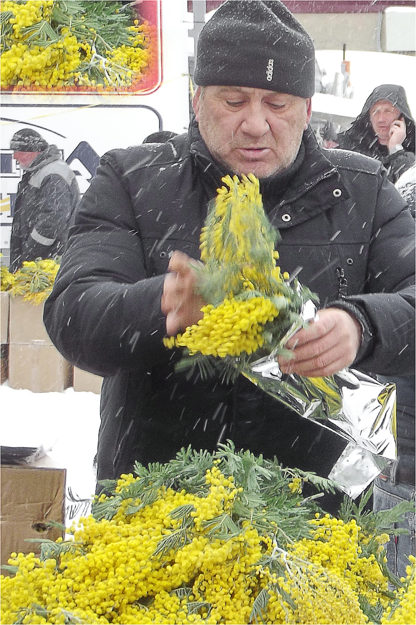 March 8 - My, Flowers, Market, March 8, Saratov, Longpost