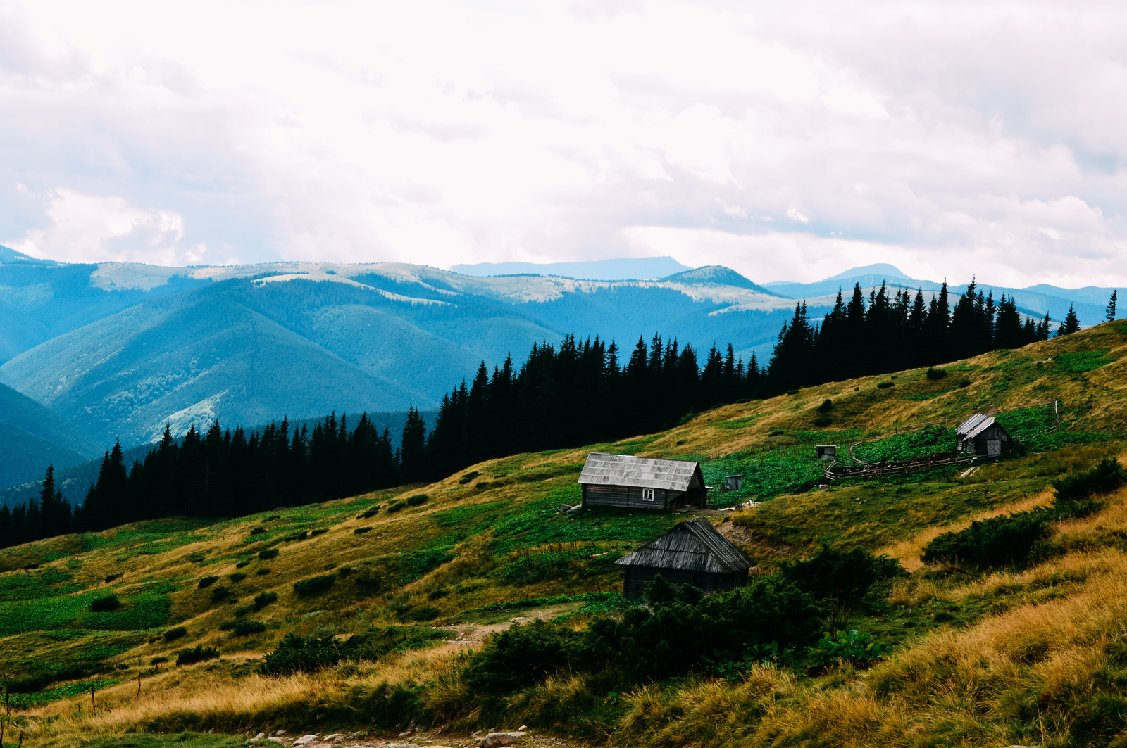 And here are the mountains - My, Carpathians, Nature, The mountains, The photo, Nikon, Longpost