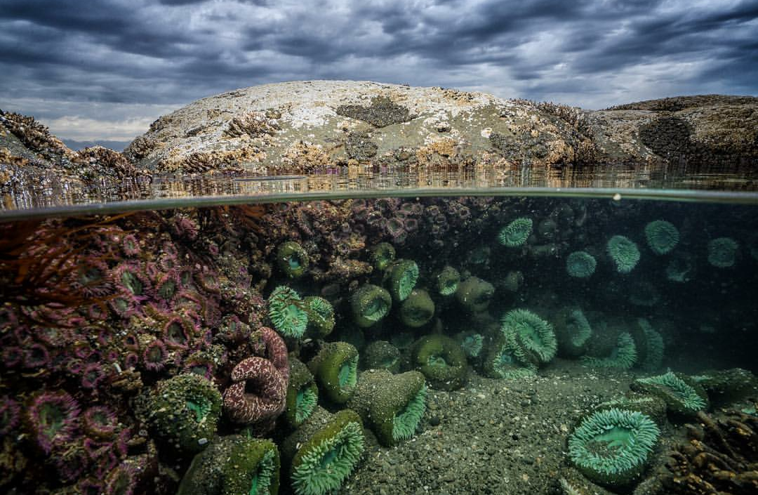 underwater beauty - beauty, Under the water