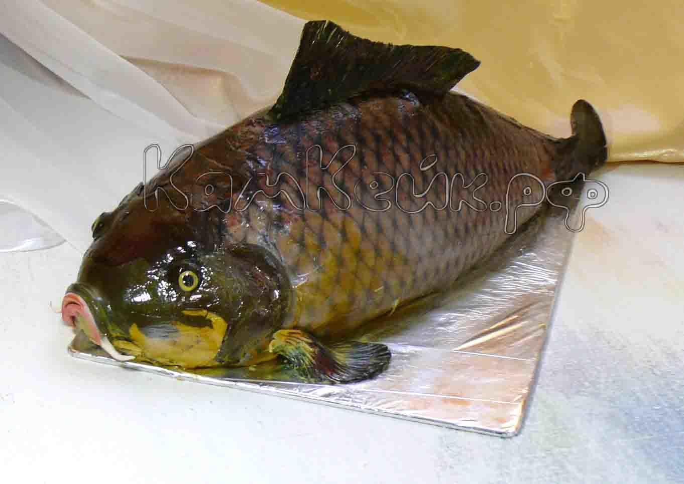 3D Cake in the form of fish Carp - My, A fish, Cake, The photo, Cooking, Carp, Imitation