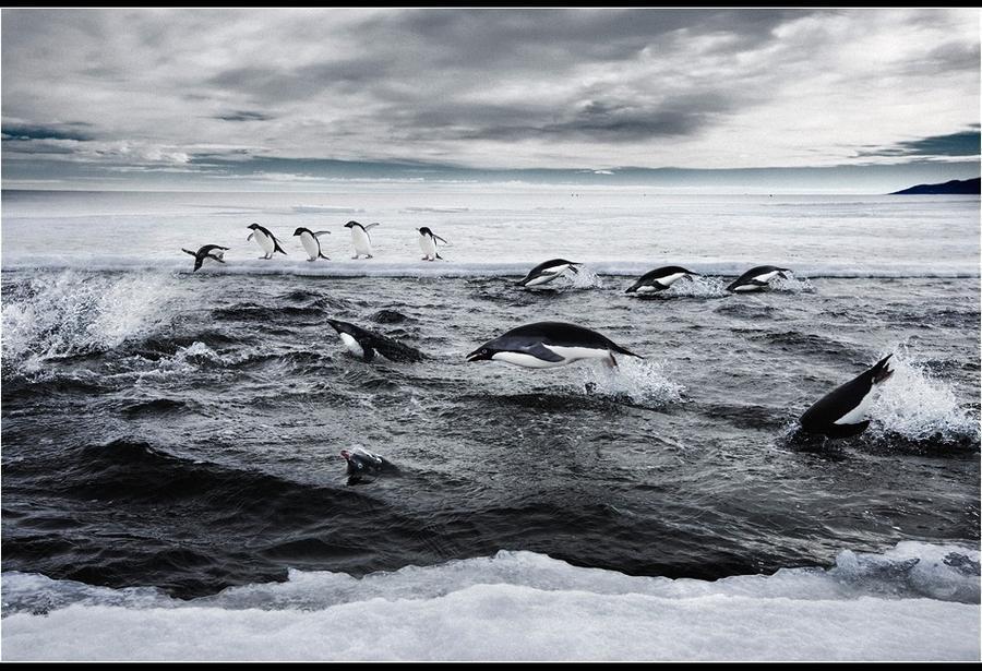 The Ross Sea through the eyes of documentary photographer John Weller. - Antarctica, , The photo, Longpost