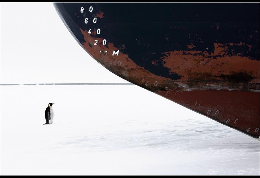 The Ross Sea through the eyes of documentary photographer John Weller. - Antarctica, , The photo, Longpost