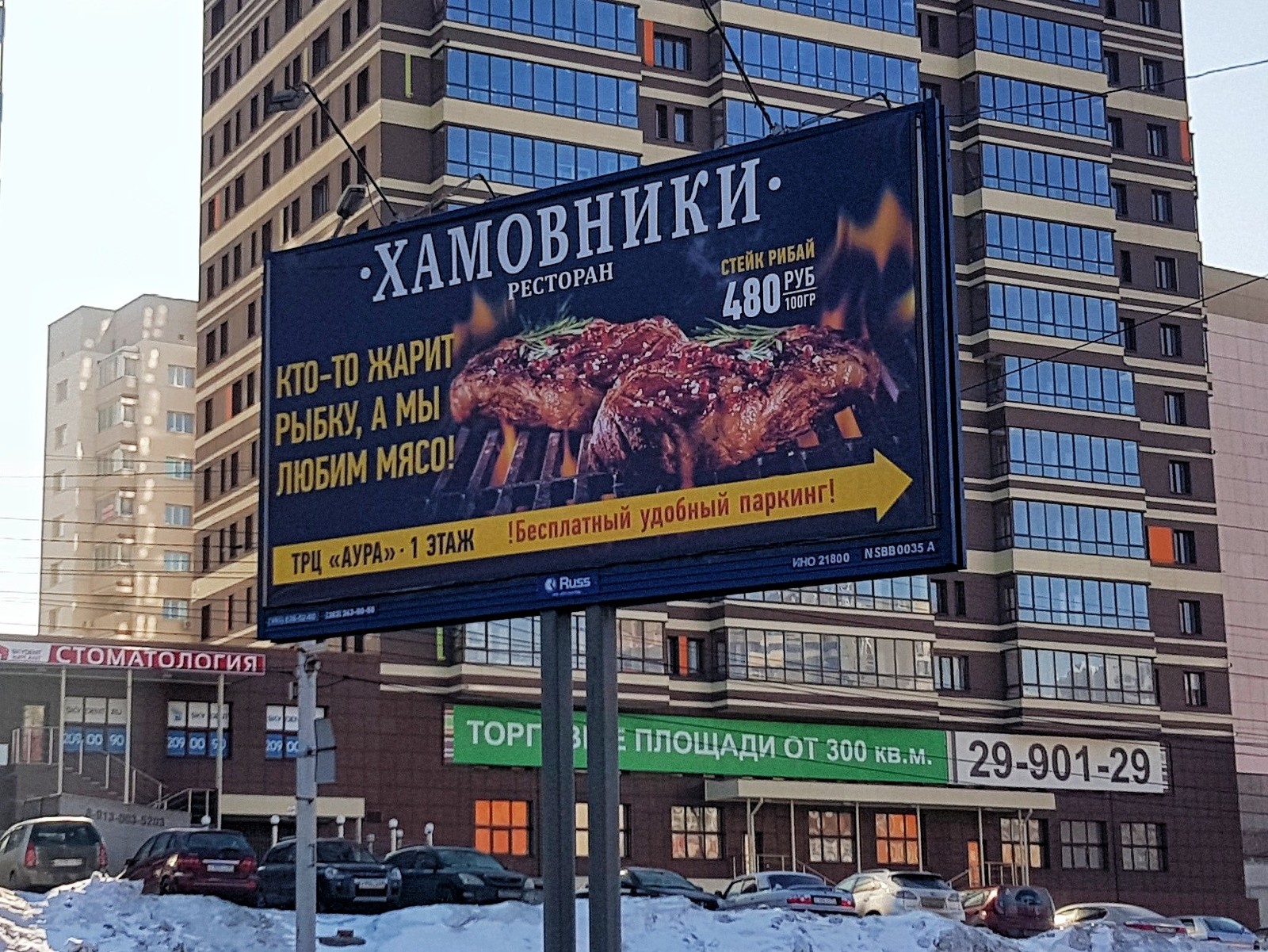 Someone is frying a fish... - My, Novosibirsk, FBK, Nastya Rybka, Advertising, , Banner, Hype