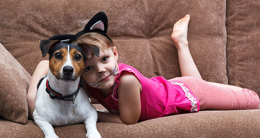 Basenji - African barking dog - Dog, Africa, Animals, Puppies, Longpost, The photo